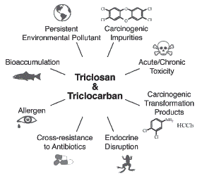 A Mini-Review on Toxicity of Triclosan in Aquatic Environment