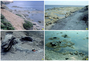 The Anthropogenic Effects on Coral Reefs Across Northern Coasts of Oman: A GIS based Modeling