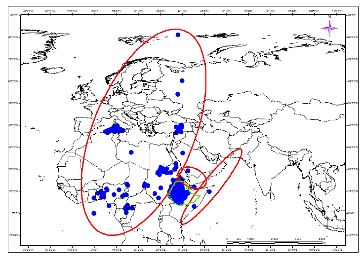 Evaluation of the Fitness for use of Oil Crops Spatial Datasets for Biodiversity Conservation