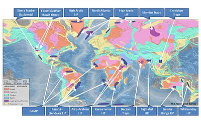 The Continents as Results of the Earth’ Global Geodynamics