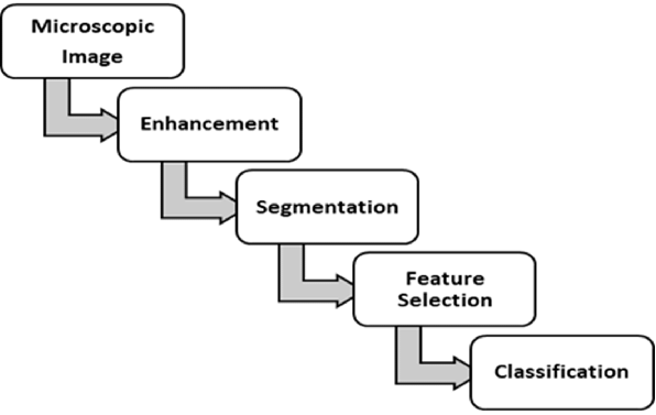 Evaluation of Estimation Quality of a General Paradigm for Categorization Animal Abundance Once Observations Are Counts
