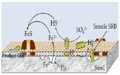 Geo-Energy Pipeline Corrosion in a Sulfate Reducing Bacteria Environment