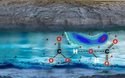 Global Carbon Cycle and Organic Matter Accumulation in the Earth Crust