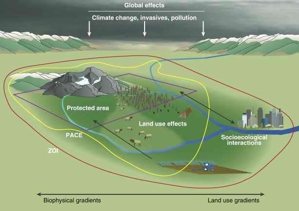 Dynamics of Land use Change: A Case Study of Lafia, Nasarawa State, Nigeria