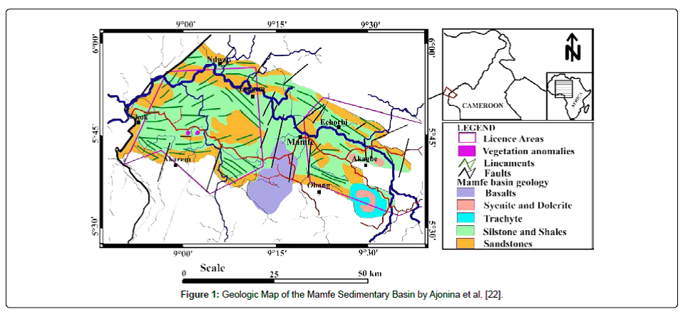 Polynomial Separation and Gravity Data Modeling with Hyperbolic Density Contrast: Case of Two Profiles along the Mamfe Sedimentary Basin (Cameroon)