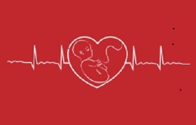 Pattern of Lipid Profile in Pregnancy and its Impact on the Gestational Course