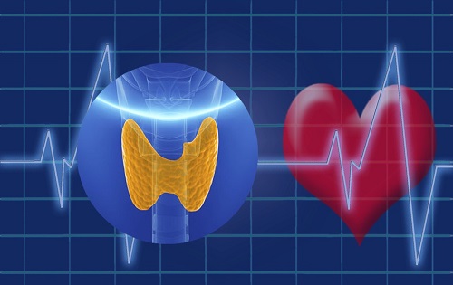 Assessment of Left Ventricular Function by 2D Speckle Tracing Imaging in Patients with Subclinical Hypothyroidism