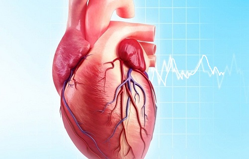 Hybrid Myocardial Revascularization or Multivessel Minimally Invasive Direct Coronary Artery Bypass: Two Case Reports