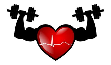 Physical Fitness Study in Children with Previous Surgery for Congenital Heart Disease