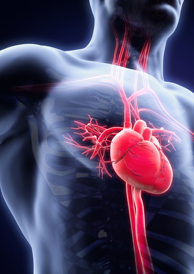 Assessment of Left Ventricular Diastolic Function and Left Atrial Deformation in Normotensive Type 2 Diabetes without Microvascular Complications