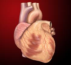 Free Floating Atrial Thrombus