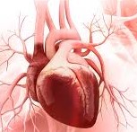 The Impact of Nut Consumption on Lipid and Lipoprotein Profiles of Patients at High Cardiovascular Risk