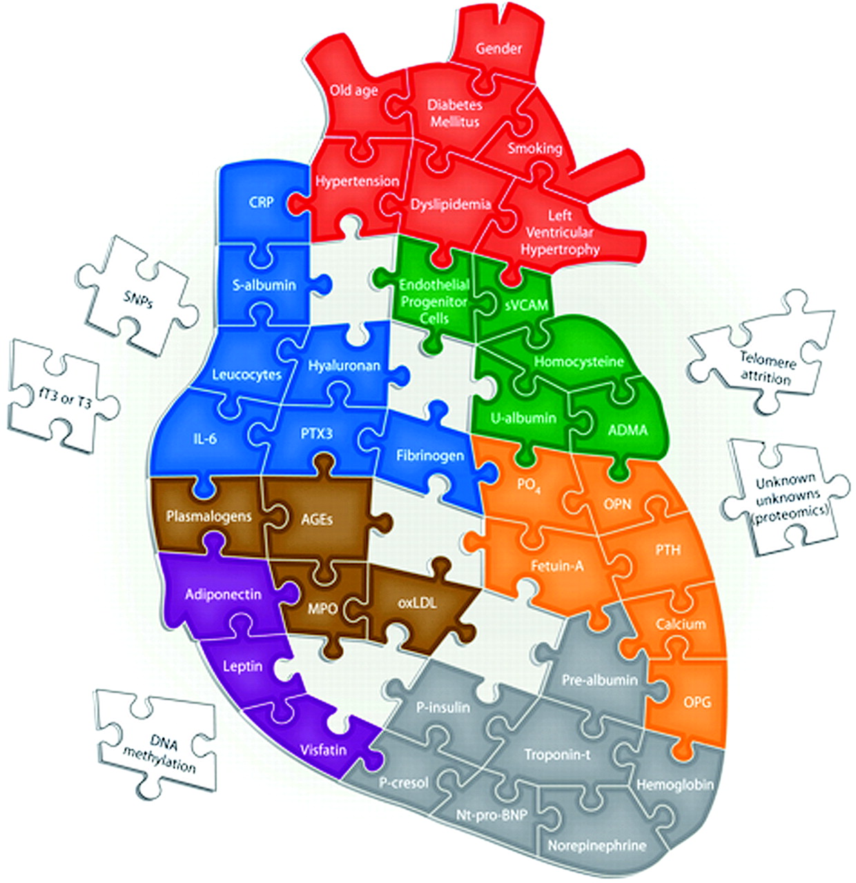 Measures for Predicting Cardiovascular Risk in Chronic Renal Disease