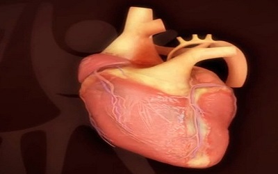 Kawasaki Disease in a Patient with Hypoplastic Left Heart Syndrome