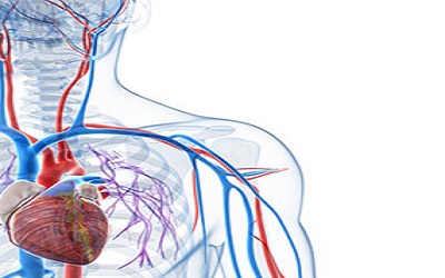 Cardio embolic stroke: Data from 145 cases at the Teaching Hospital of YalgadoOuedraogo, Ouagadougou, Burkina Faso