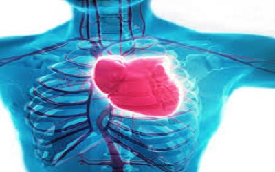 Effect of Primary Percutaneous Coronary Intervention on Renal Function in Acute ST Elevation Myocardial Infarction