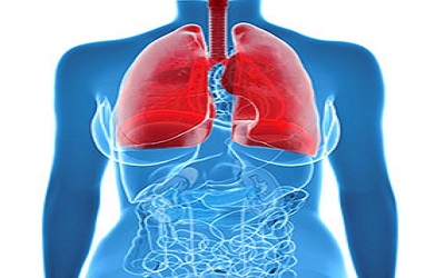 Collagen Metabolism Biomarkers
and Health Related Quality of Life
in Pulmonary Arterial
Hypertension