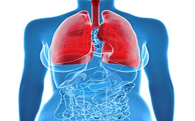 Collagen Metabolism Biomarkers
and Health Related Quality of Life
in Pulmonary Arterial
Hypertension