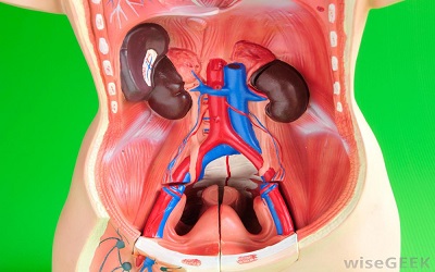 A Rare Cause of Resistant
Hypertension: Idiopathic
Retroperitoneal Fibrosis