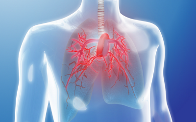 Circulating Aldosterone Levels and Disease Severity in Pulmonary Arterial Hypertension [<font color='black'>Retrieved</font>]