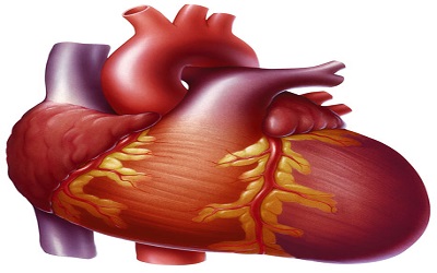 A Novel Approach to Detect Congestive Heart Failure using Dispersion Entropy