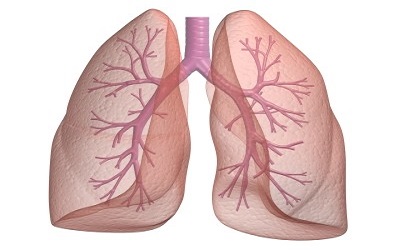 Unilateral Absence of Left Pulmonary Artery, Left Main Bronchus and Left Lung