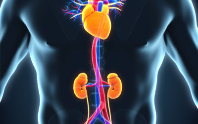 Modulation of miRNAs in Aneurysms of the Ascending Aorta: Local versus Circulating Expression Levels