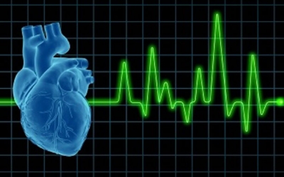 First Reported Case of an Adult with Dengue Fever and Asystole