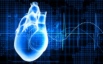 Obese Patients: The Most Prone to Heart Disease, Yet the Least Benefiting from Cardiac Imaging and Treatment Technology