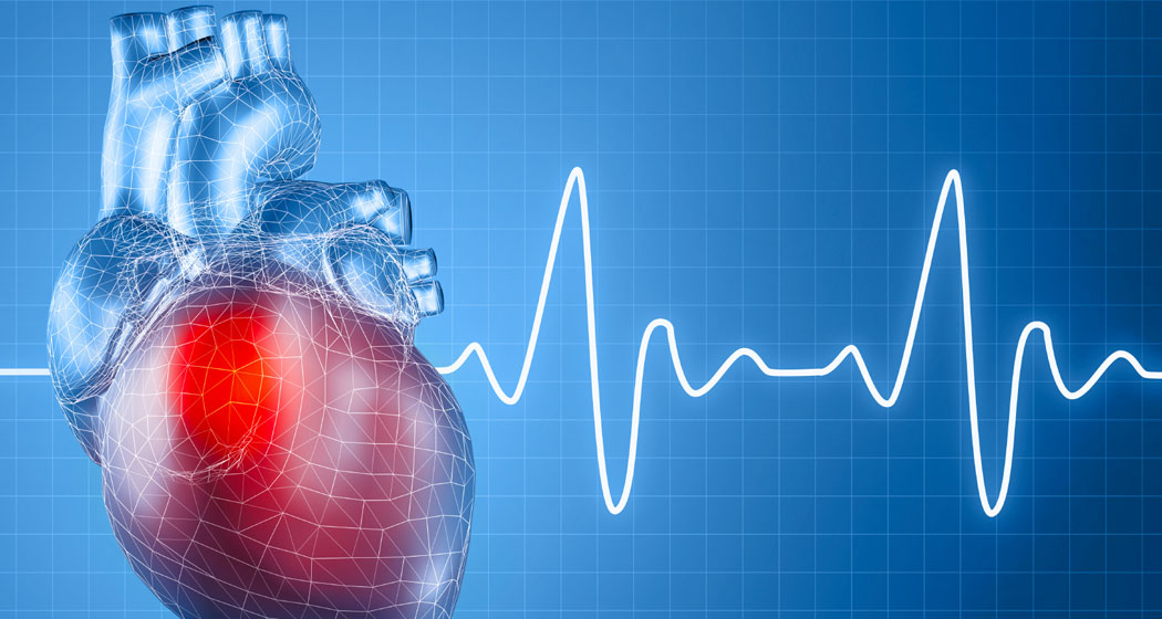 Cardiovascular Effects of Cyclical Dietary Vitamin C Withdrawal in Mice Deficient in Internal Synthesis Vitamin C and producing human lipoprotein (a): Gulo(-/-); Lp(a)+