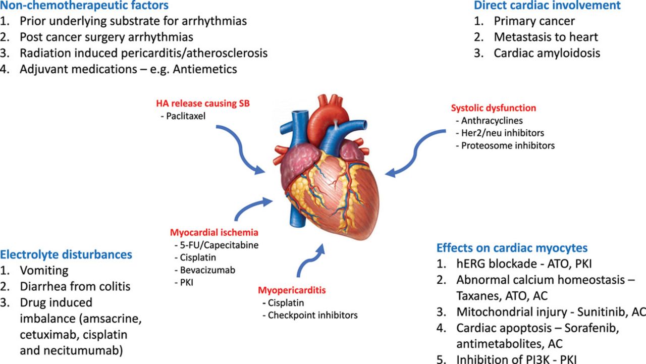 Electrocardiogram Changes in Cancer Patients Taking 5-Flurouracil Chemotherapy at National Cancer Institute - University of Gezira (2018)