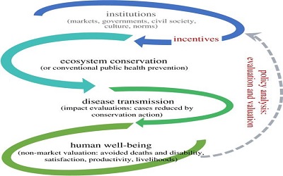 Ecosystems of Global Health Authorial Expertise