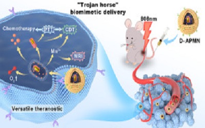 Tumor Microenvironment Stimuli Responsive Capability for Tumor Theranostic