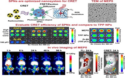 Polymer Nanoparticles for Multimodal Cancer Theranostics