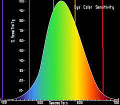 Contrast Sensitivity Studies of Human Vision