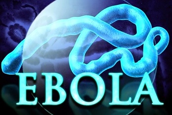 Virtual Screening and Pharmacophore Analysis of
Potent Antiviral Inhibitors for Viral Proteins from Ebola virus