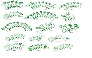 Proteins Containing Leucine Rich Repeats as Potential Targets for Plasmodium knowlesi
