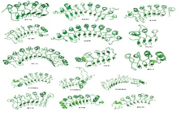 Proteins Containing Leucine Rich Repeats as Potential Targets for Plasmodium knowlesi