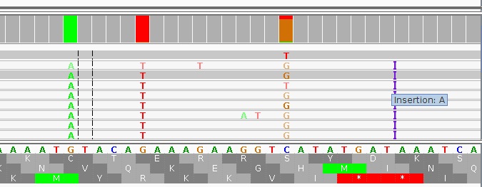 A Pipeline for Markers Selection Using Restriction Site Associated DNA Sequencing (Radseq)