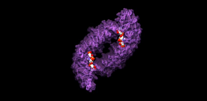 Awards 2020 on 16th International Conference on Structural Biology