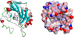 In Silico Molecular Docking Study of Some Already Approved Antiviral Drugs, Vitamins and Phytochemical Components Against Rna Dependent Rna Polymerase of Sars-Cov-2 Virus