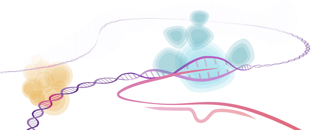 Transcriptional Regulation Bioinformatics &Computational Biology