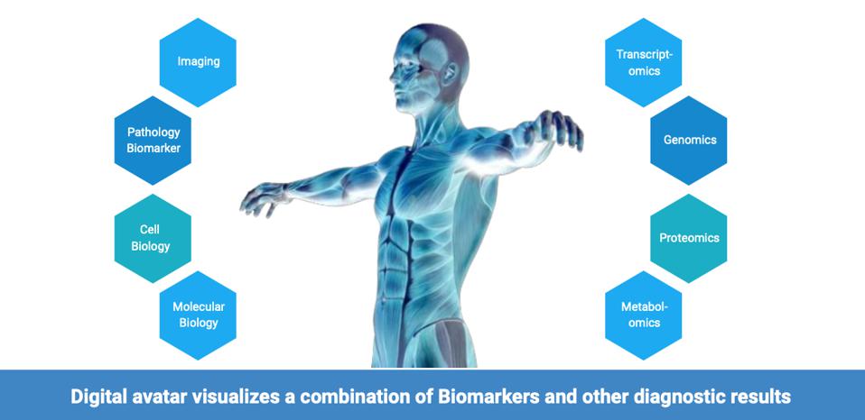 Role of Molecular Markers Within the Management of Plant Ordination and Its Applications