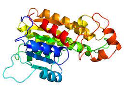 Homology Modeling Tool for The Discovery 0f Drug