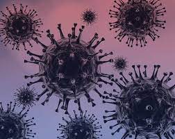 An Overview 0f Characteristics  of SARS-Cov-2 And COVID-19  And Therefore the Proximal  Origin of SARS-Cov-2