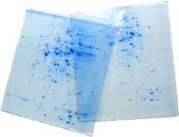 Two-Dimensional Gel Electrophoresis In Proteomics