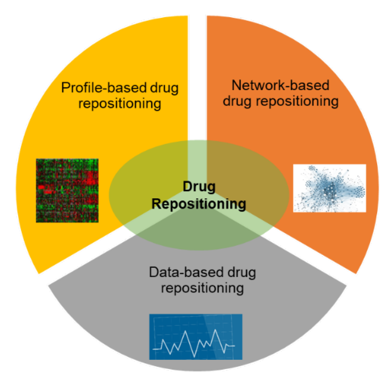 A recent approaches Insights in Drug repurposing strategies