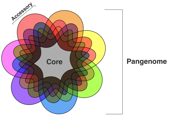 Pan genome Approach For Discerning Species-Unique  Gene Markers