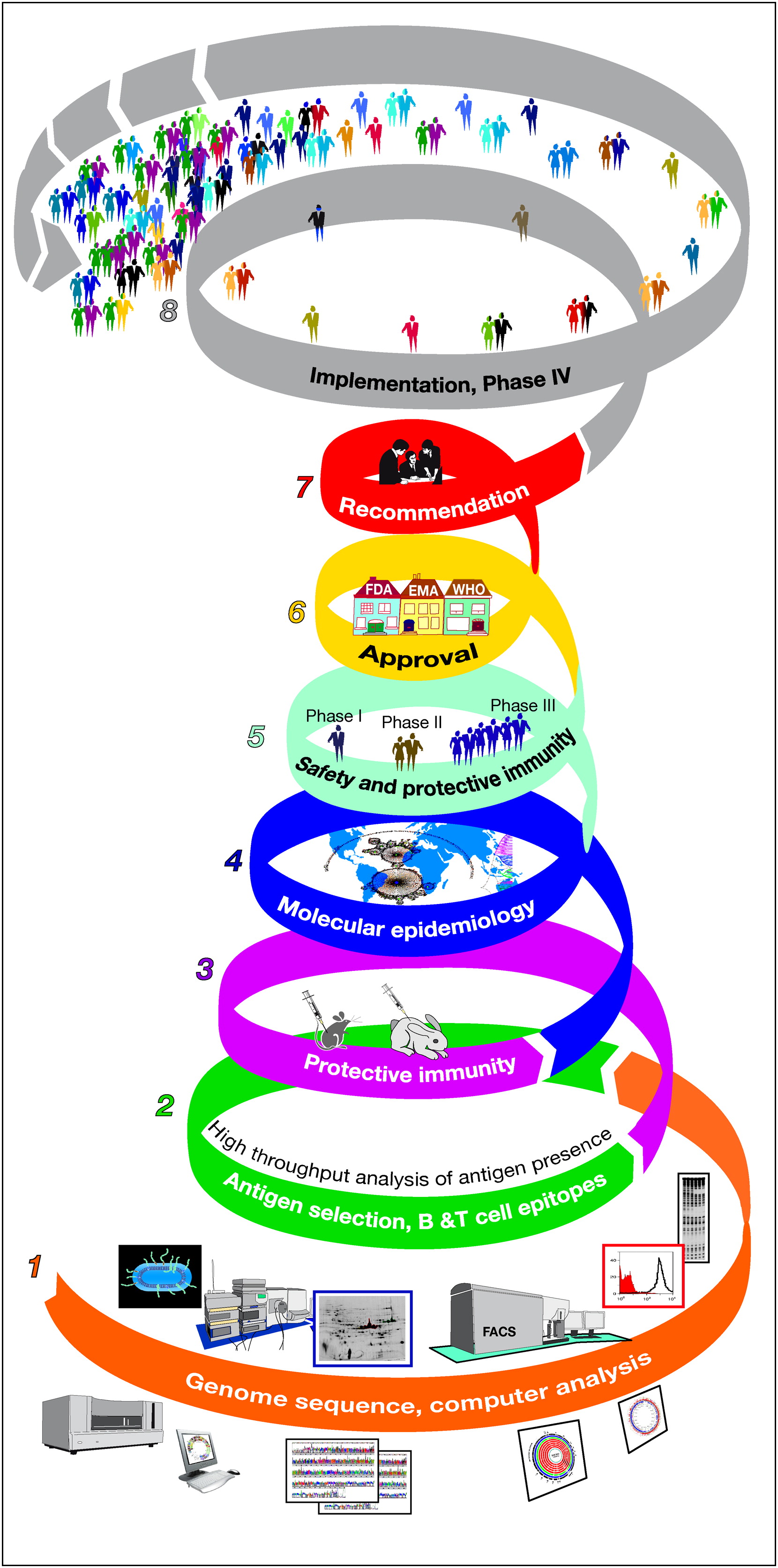 Approches of Reverse Vaccinology and stages of Developing Vaccines in the Genomics