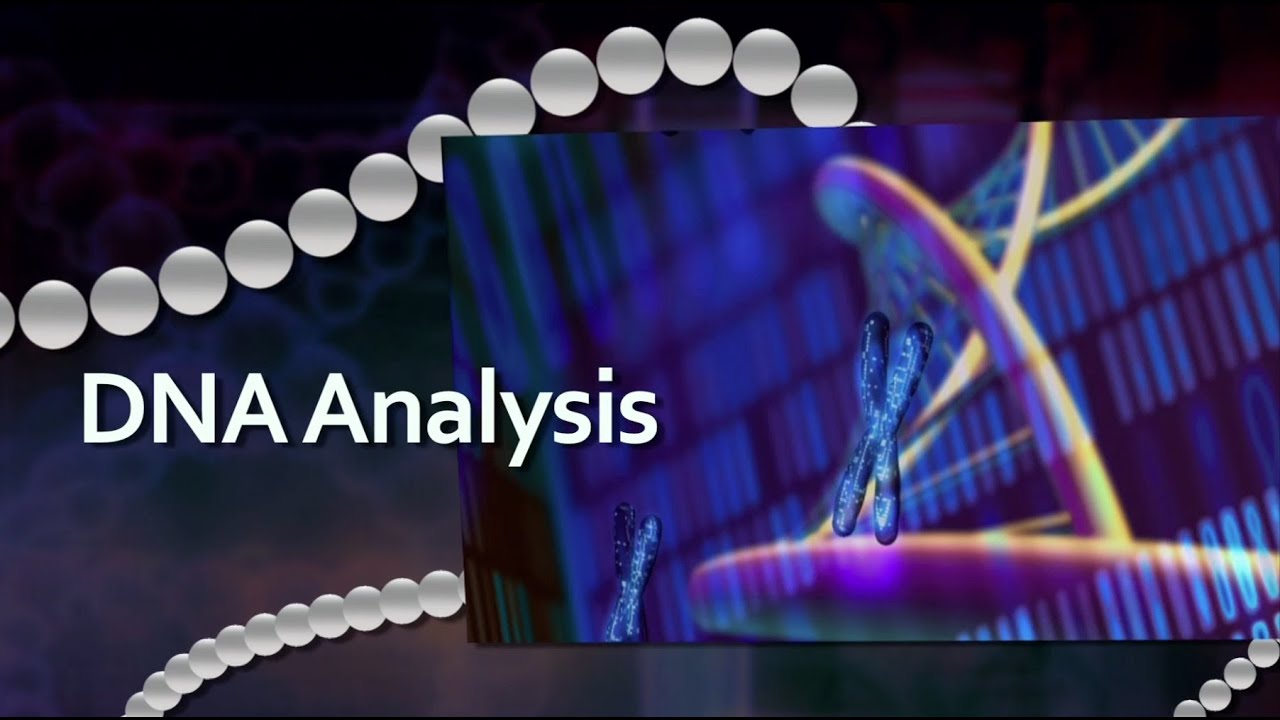 DNA Analysis and Epigenetic Modification Measurements